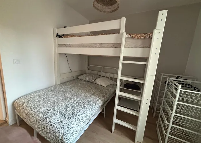 Dalikyda - Le Cocon Massillon - - Elegant